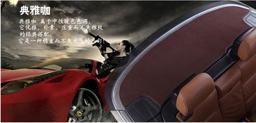 飛石專車專用汽車后櫥窗墊 提升駕駛安全的貼心設計